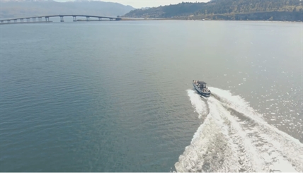 iN VIDEO: Invasive mussels could cost millions of tourism dollars, group warns | iNFOnews.ca iN VIDEO: Invasive mussels could cost millions of tourism dollars, group warns | iNFOnews.ca
