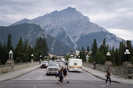Wolf involved in rare Banff National Park attack was old and in poor condition | iNFOnews.ca