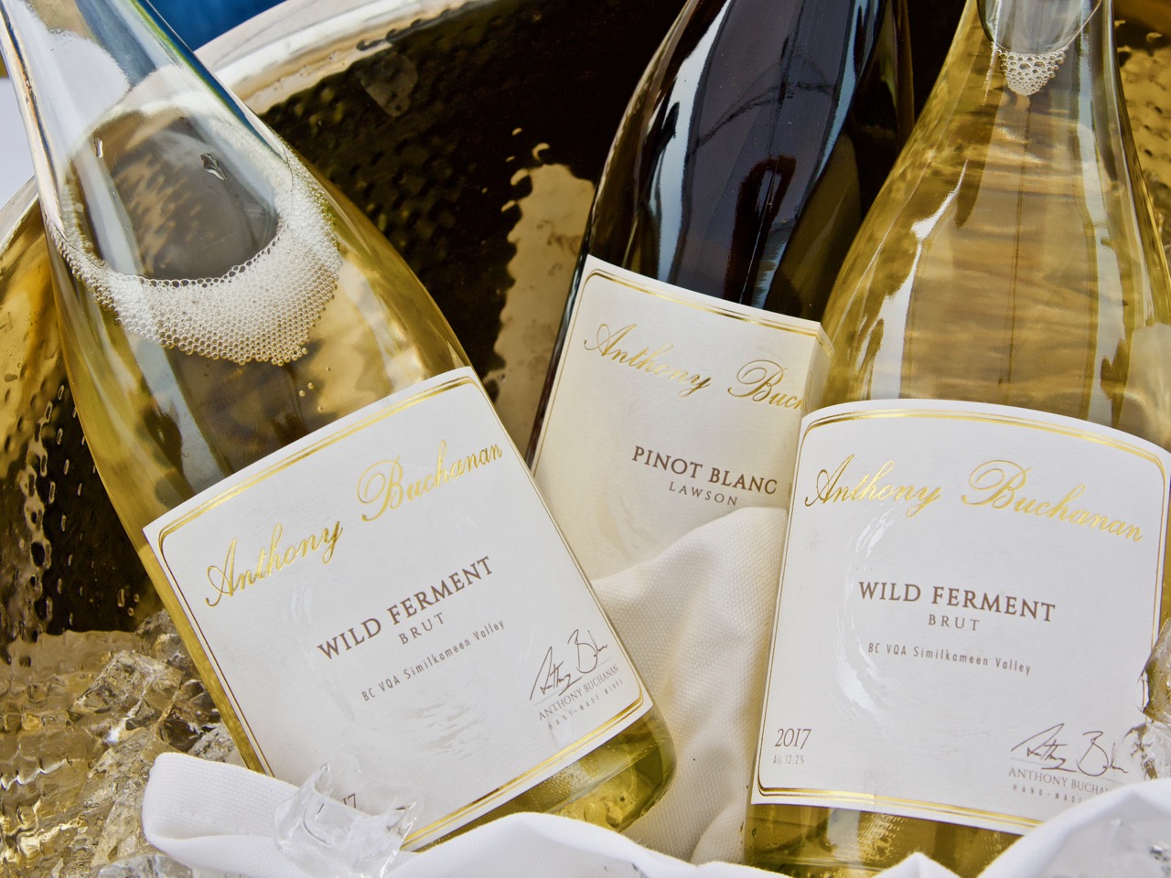 Why this winemaker moonlights as a winemaker | iNFOnews.ca