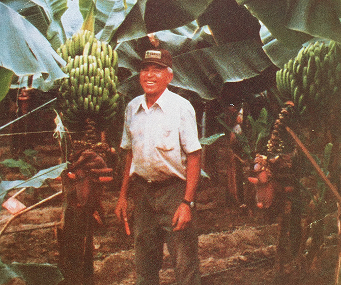 Bananas once grew in the Okanagan thanks to one industrious farmer | iNFOnews.ca Bananas once grew in the Okanagan thanks to one industrious farmer | iNFOnews.ca