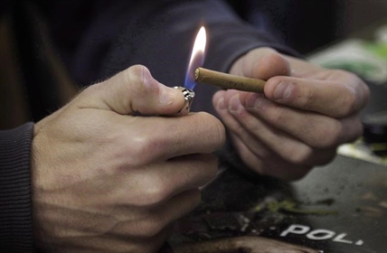 Illegal pot still a source for 4 in 10 cannabis users, Stats Can survey shows | iNFOnews.ca