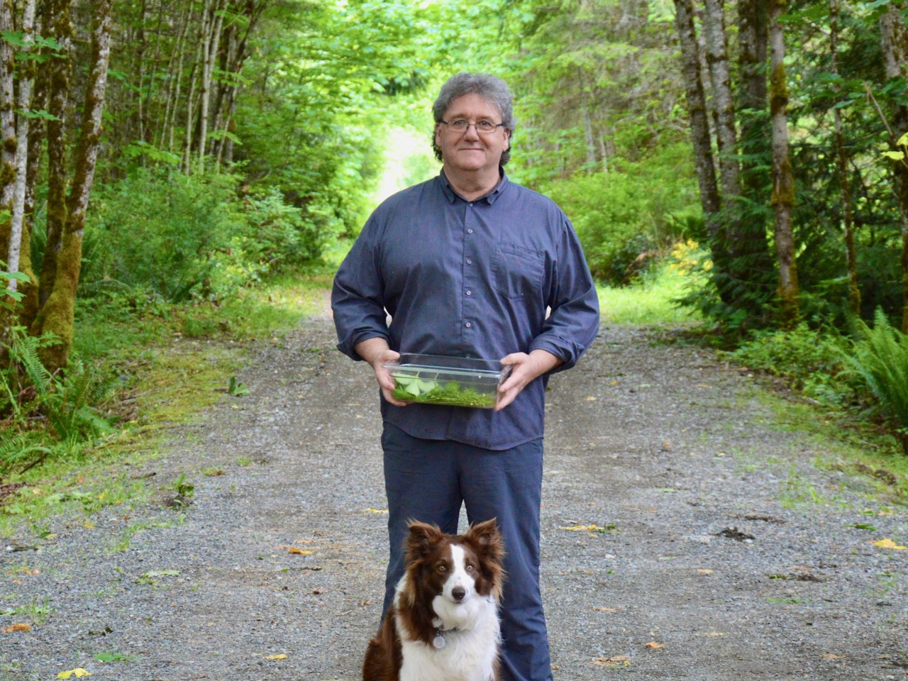 Mushroom Mania across the province | iNFOnews.ca