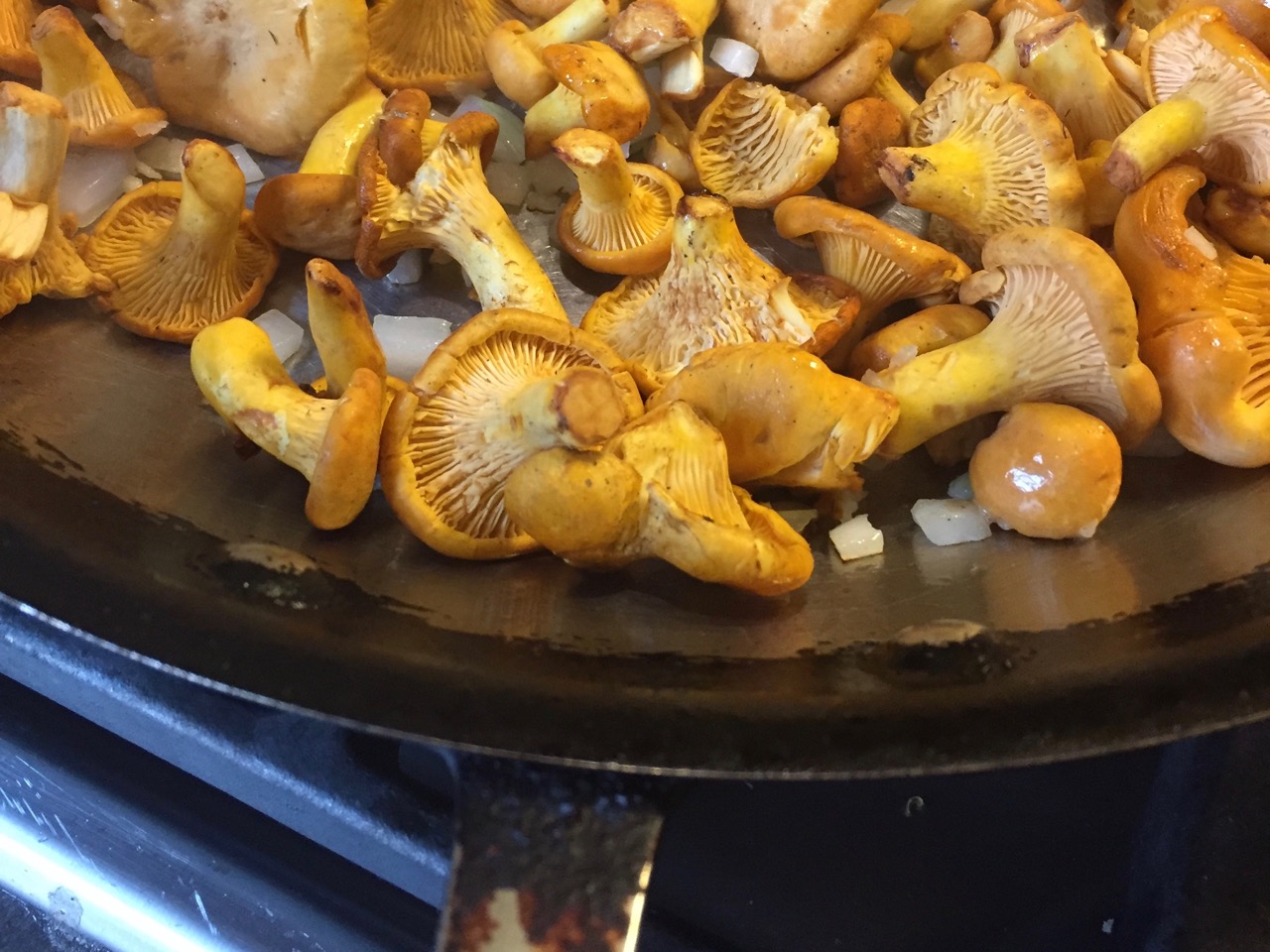 Mushroom Mania across the province | iNFOnews.ca