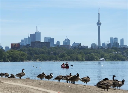 Cities urge federal leaders to wade into wastewater debate | iNFOnews.ca