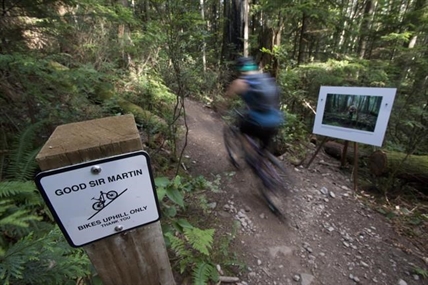 Cyclists, bear OK after bruin chases them on North Vancouver trail | iNFOnews.ca
