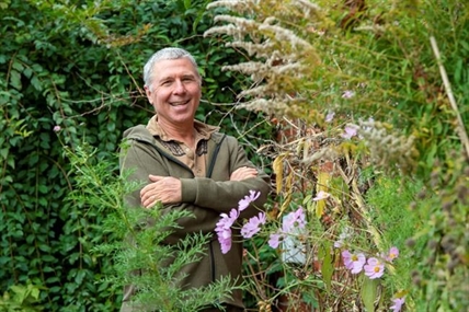 City of Toronto program helps homeowners create pollinator gardens | iNFOnews.ca