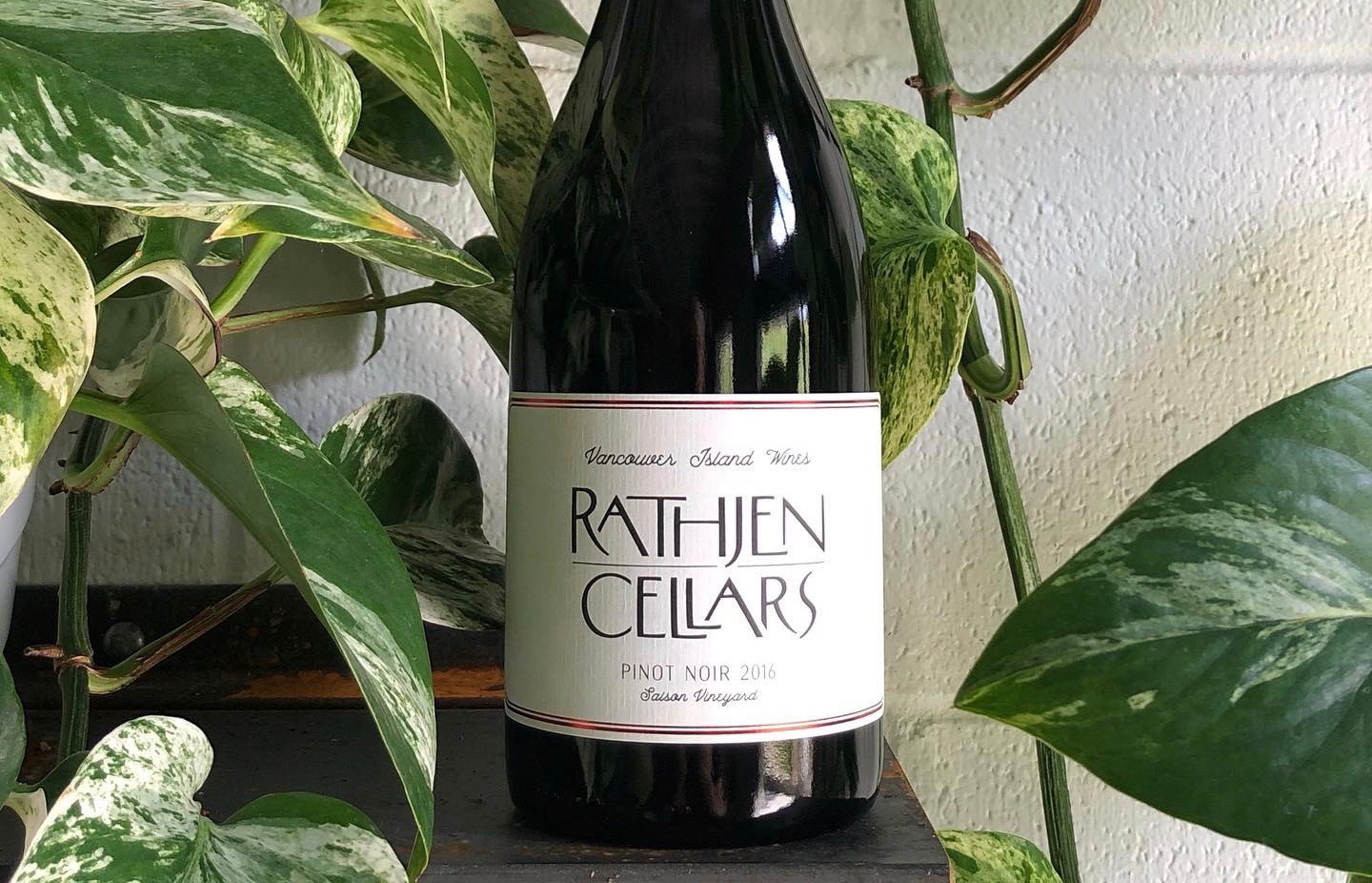 8 sexy B.C. reds to sip by the fireside | iNFOnews.ca 8 sexy B.C. reds to sip by the fireside | iNFOnews.ca