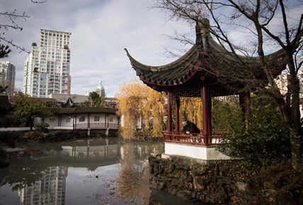 Otter sighting shuts down Vancouver Chinese garden, 3 koi dead | iNFOnews.ca