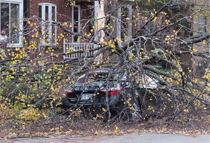 Crews restore power across Quebec after almost one million customers hit by storm | iNFOnews.ca Crews restore power across Quebec after almost one million customers hit by storm | iNFOnews.ca