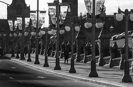 Remembrance Day and Don Cherry's poppy rant; In-The-News for Nov. 11 | iNFOnews.ca