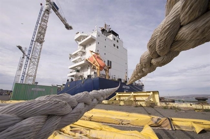 Red tape, lack of experience slowing $60B warship project: Former DND official | iNFOnews.ca