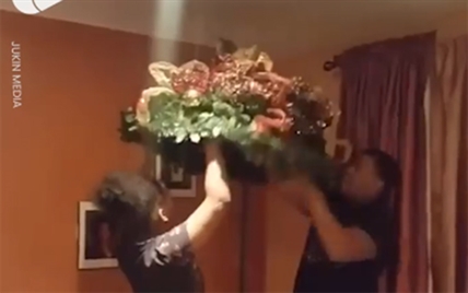 TRENDING NOW: The perfect Christmas tree | iNFOnews.ca
