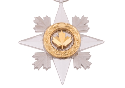 Slain dad among Canadians awarded bravery, meritorious service medals | iNFOnews.ca Slain dad among Canadians awarded bravery, meritorious service medals | iNFOnews.ca