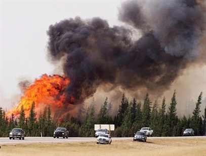 Fewer trees, less undergrowth: Study says wildfires changing boreal forest | iNFOnews.ca Fewer trees, less undergrowth: Study says wildfires changing boreal forest | iNFOnews.ca