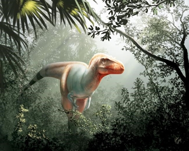 First cancer diagnosed in dinosaur fossil hints at communal life | iNFOnews.ca First cancer diagnosed in dinosaur fossil hints at communal life | iNFOnews.ca