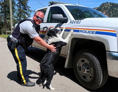 iN PHOTOS: Meet Cooper, Lumby's favourite resident | iNFOnews.ca iN PHOTOS: Meet Cooper, Lumby's favourite resident | iNFOnews.ca