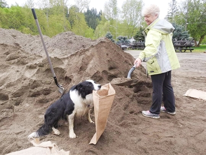 iN PHOTOS: Meet Cooper, Lumby's favourite resident | iNFOnews.ca iN PHOTOS: Meet Cooper, Lumby's favourite resident | iNFOnews.ca