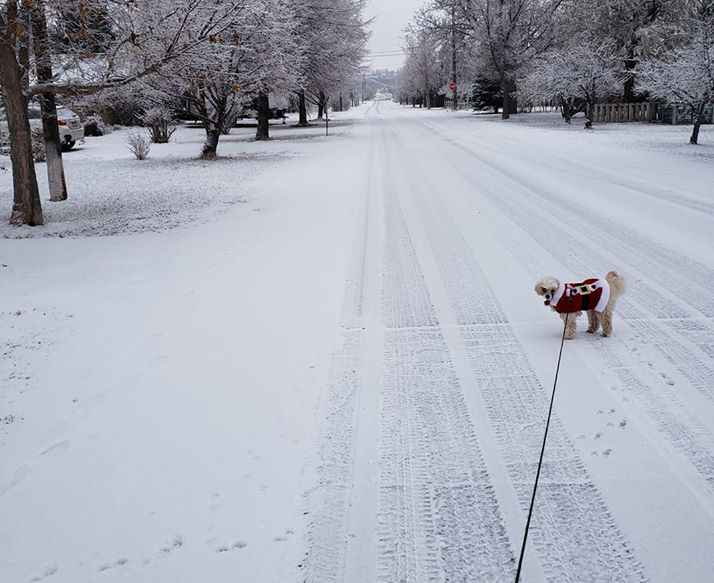 iN PHOTOS: Kamloops, Okanagan residents not quite out of Old Man Winter's grasp | iNFOnews.ca