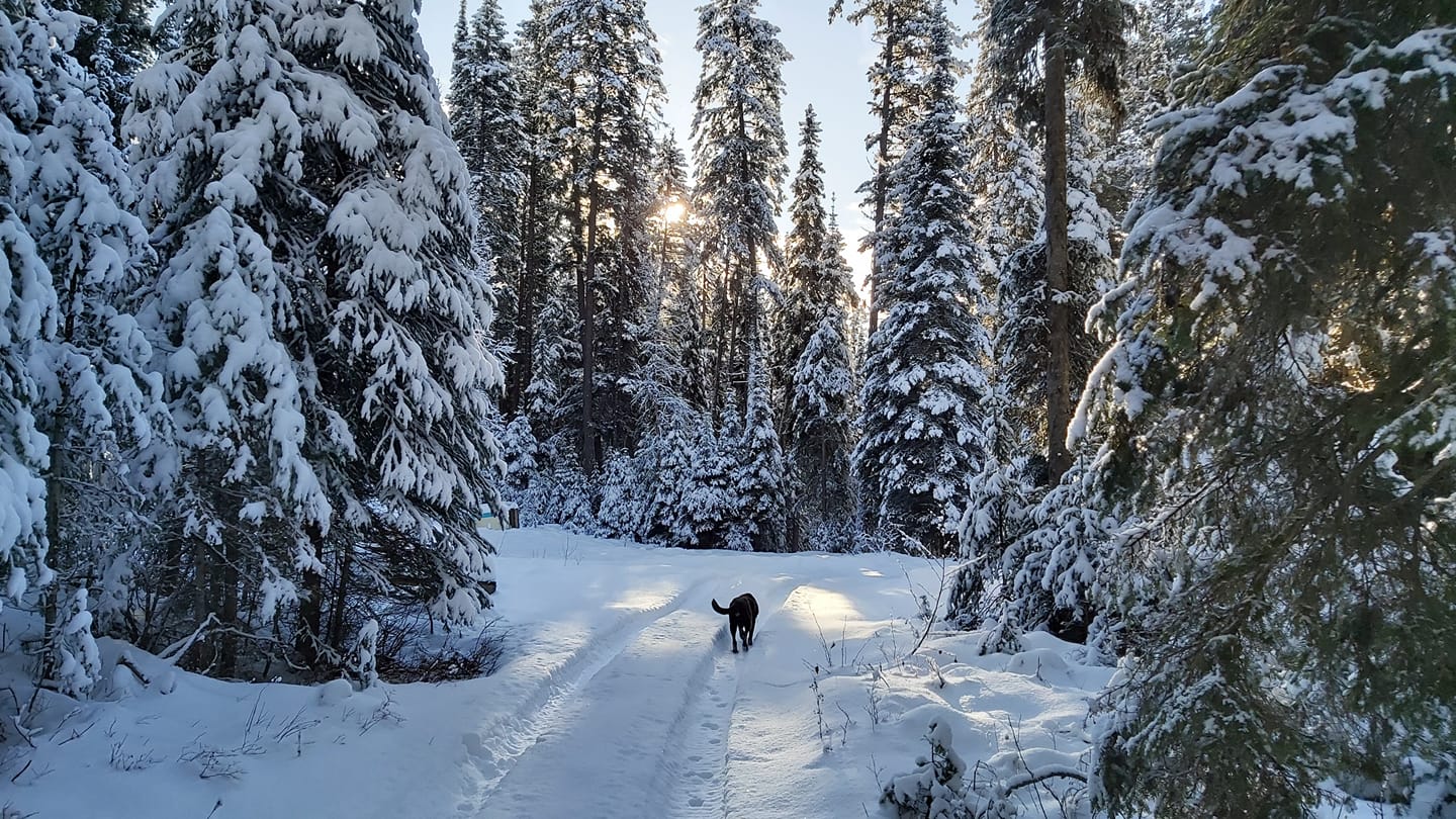 iN PHOTOS: Kamloops, Okanagan residents not quite out of Old Man Winter's grasp | iNFOnews.ca
