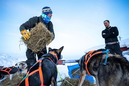 Norwegian musher takes lead in Iditarod as finish nears | iNFOnews.ca Norwegian musher takes lead in Iditarod as finish nears | iNFOnews.ca