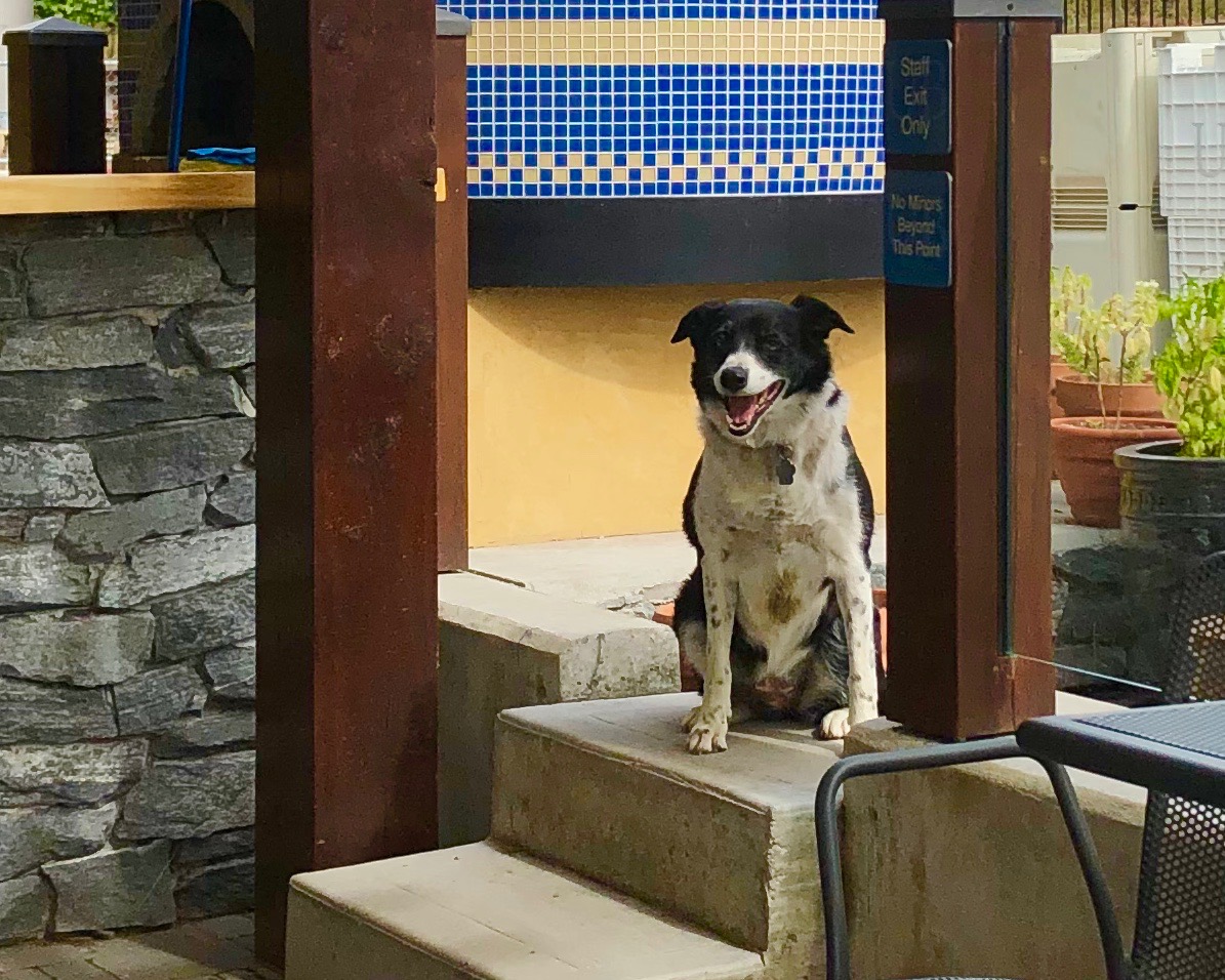 Free delivery to your door for this wine & cheese package | iNFOnews.ca