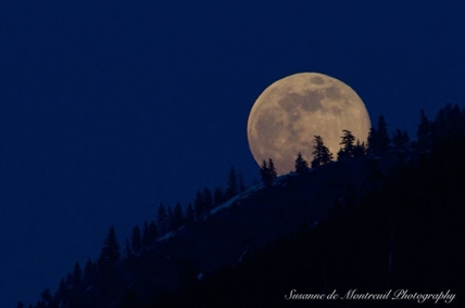 From Kamloops to Kelowna, photographers pan their lenses to last night's Super Pink Moon | iNFOnews.ca