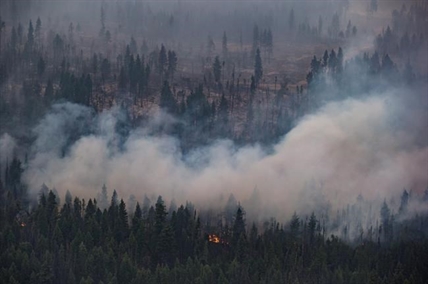 11 small wildfires in B.C. on Easter weekend, but most quickly doused | iNFOnews.ca