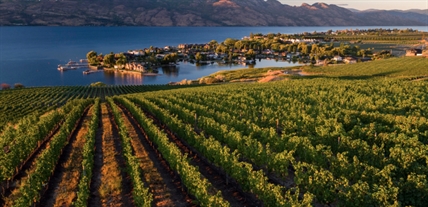 Spice up your Zoom calls with these free Kelowna, Kamloops backgrounds | iNFOnews.ca