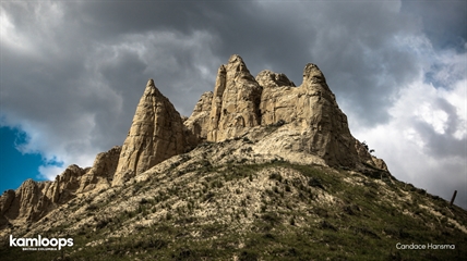 Spice up your Zoom calls with these free Kelowna, Kamloops backgrounds | iNFOnews.ca