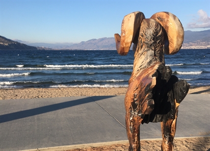 RCMP in Penticton on hunt for stolen ram's head sculpture | iNFOnews.ca RCMP in Penticton on hunt for stolen ram's head sculpture | iNFOnews.ca