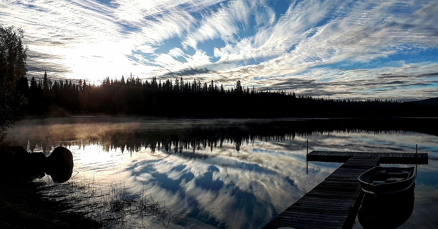 Escape the stress of a global pandemic by visiting a West Kelowna cabin in the woods | iNFOnews.ca