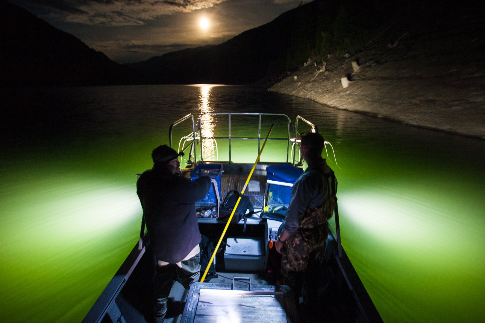 Experiment to remove invasive fish from a Kamloops lake yields positive results | iNFOnews.ca Experiment to remove invasive fish from a Kamloops lake yields positive results | iNFOnews.ca