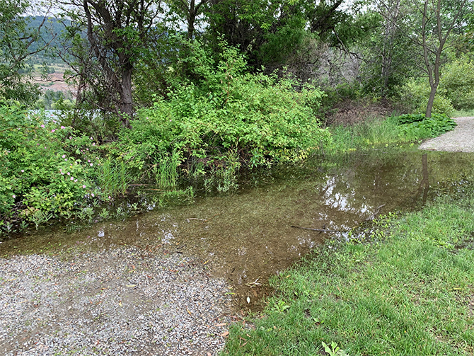 Wet May and June raising Okanagan Lake levels | iNFOnews.ca
