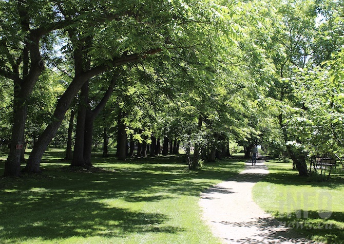 West Kelowna's nutty roots are unique to the Okanagan, and due to the Gellatly family | iNFOnews.ca West Kelowna's nutty roots are unique to the Okanagan, and due to the Gellatly family | iNFOnews.ca
