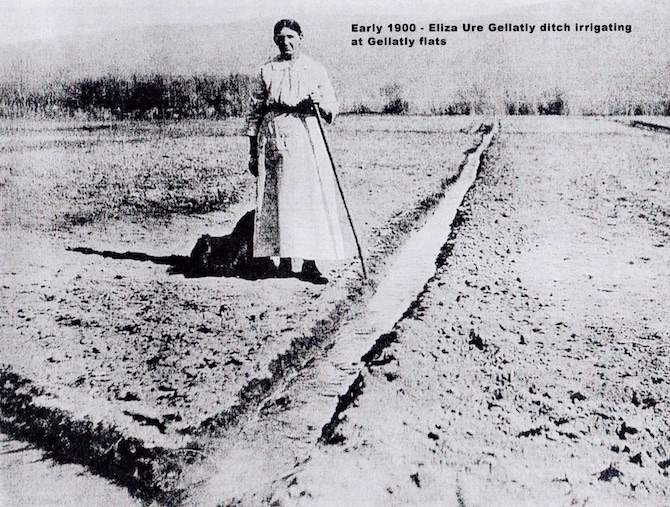 West Kelowna's nutty roots are unique to the Okanagan, and due to the Gellatly family | iNFOnews.ca West Kelowna's nutty roots are unique to the Okanagan, and due to the Gellatly family | iNFOnews.ca