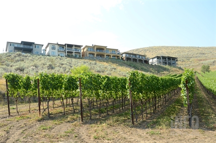 Why Vernon doesn't have any wineries... yet | iNFOnews.ca