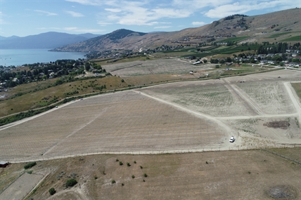 A tech entrepreneur plans to make Vernon a world-class destination for wine lovers | iNFOnews.ca