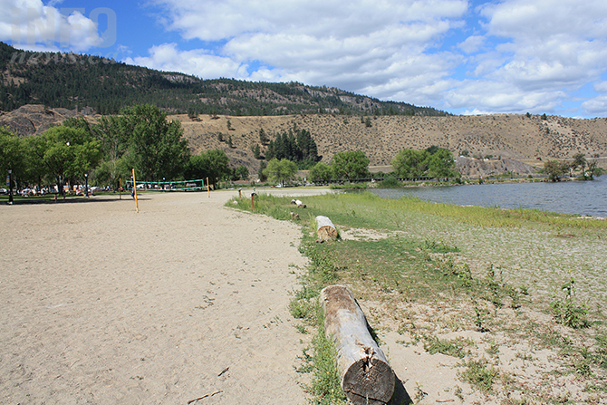 South Okanagan community fighting to reclaim beach from endangered plant | iNFOnews.ca South Okanagan community fighting to reclaim beach from endangered plant | iNFOnews.ca