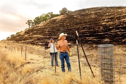 Lightning sparks new wildfires across California | iNFOnews.ca Lightning sparks new wildfires across California | iNFOnews.ca