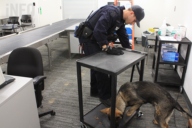 Penticton RCMP puppy-trainer is helping 'Nack' learn the profession | iNFOnews.ca Penticton RCMP puppy-trainer is helping 'Nack' learn the profession | iNFOnews.ca