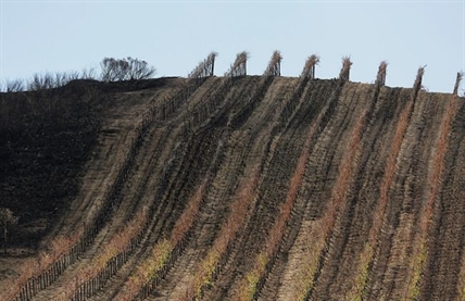 Wildfires again threaten business in California wine country | iNFOnews.ca Wildfires again threaten business in California wine country | iNFOnews.ca