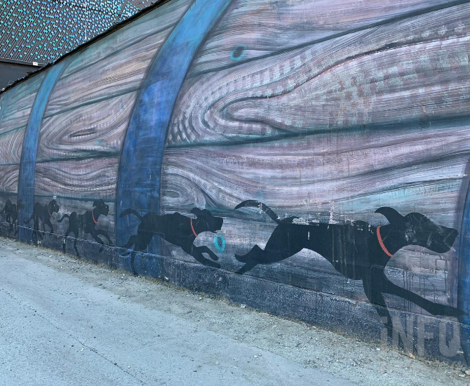 iN PHOTOS: Take the back alley tour of Kamloops's downtown murals | iNFOnews.ca