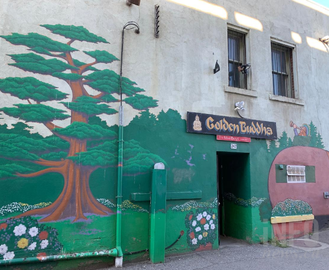 iN PHOTOS: Take the back alley tour of Kamloops's downtown murals | iNFOnews.ca