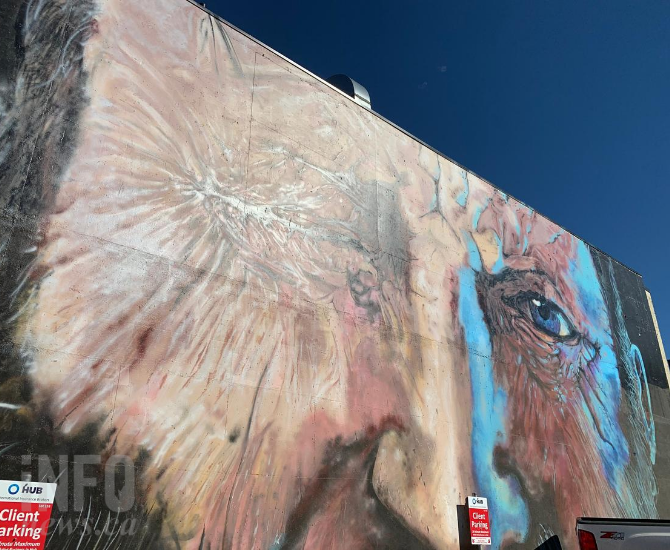 iN PHOTOS: Take the back alley tour of Kamloops's downtown murals | iNFOnews.ca