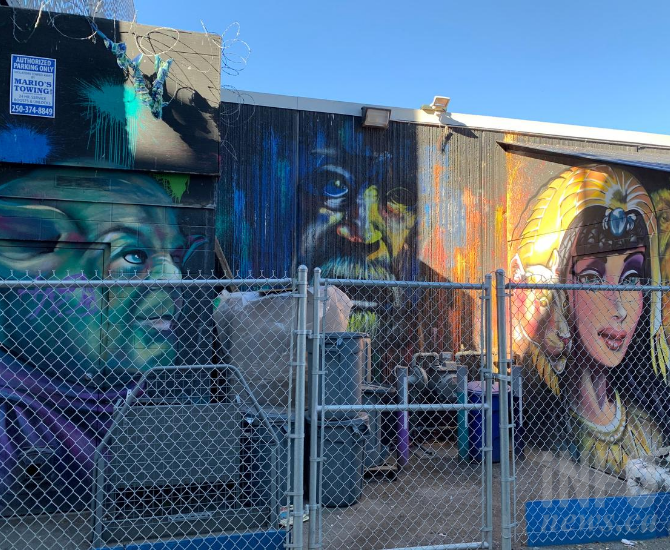 iN PHOTOS: Take the back alley tour of Kamloops's downtown murals | iNFOnews.ca