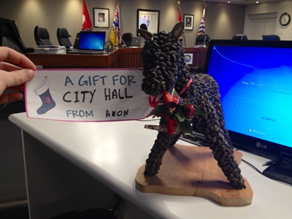 SCAT DEER! How one resident really feels... | iNFOnews.ca
