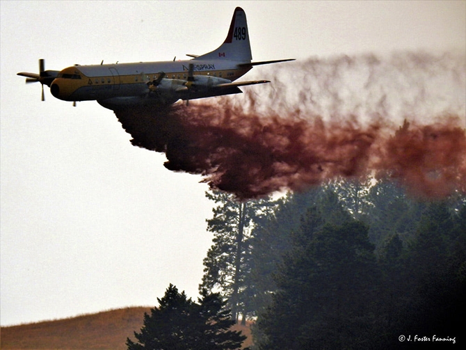 Canadian wildfire attack south of the border has Washington family in tears | iNFOnews.ca Canadian wildfire attack south of the border has Washington family in tears | iNFOnews.ca