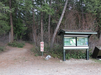 Cougar sighting at Kelowna park prompts warning | iNFOnews.ca