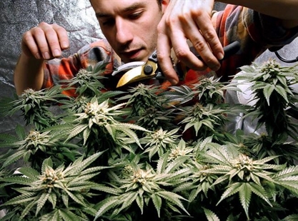 A long road: Weed goes on sale years after approval in Maine | iNFOnews.ca A long road: Weed goes on sale years after approval in Maine | iNFOnews.ca
