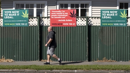 New Zealand to vote on legalizing marijuana | iNFOnews.ca